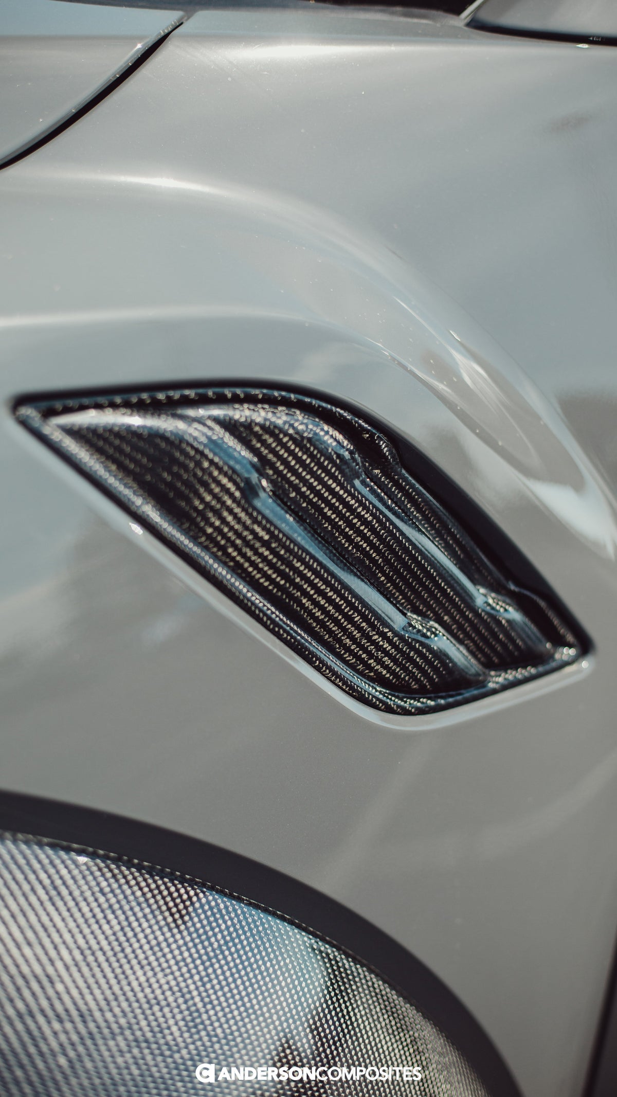 2017 - 2020 FORD RAPTOR TYPE-OE CARBON FIBER FENDER VENTS (PAIR)