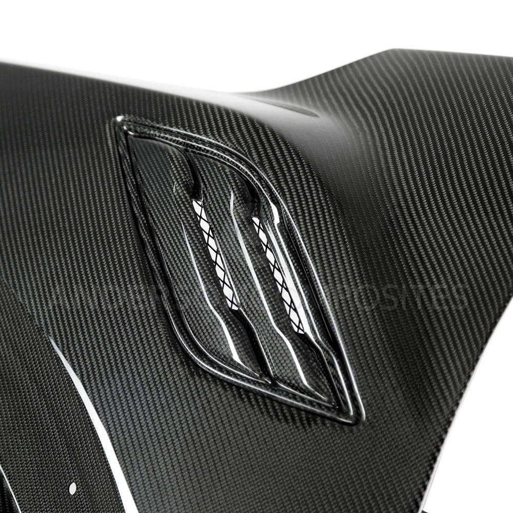 2017 - 2020 FORD RAPTOR TYPE-OE CARBON FIBER FRONT FENDERS (PAIR)