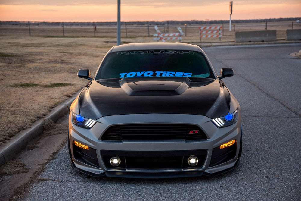 2015 - 2017 Mustang Double-Sided Carbon Fiber GT350 Style Hood