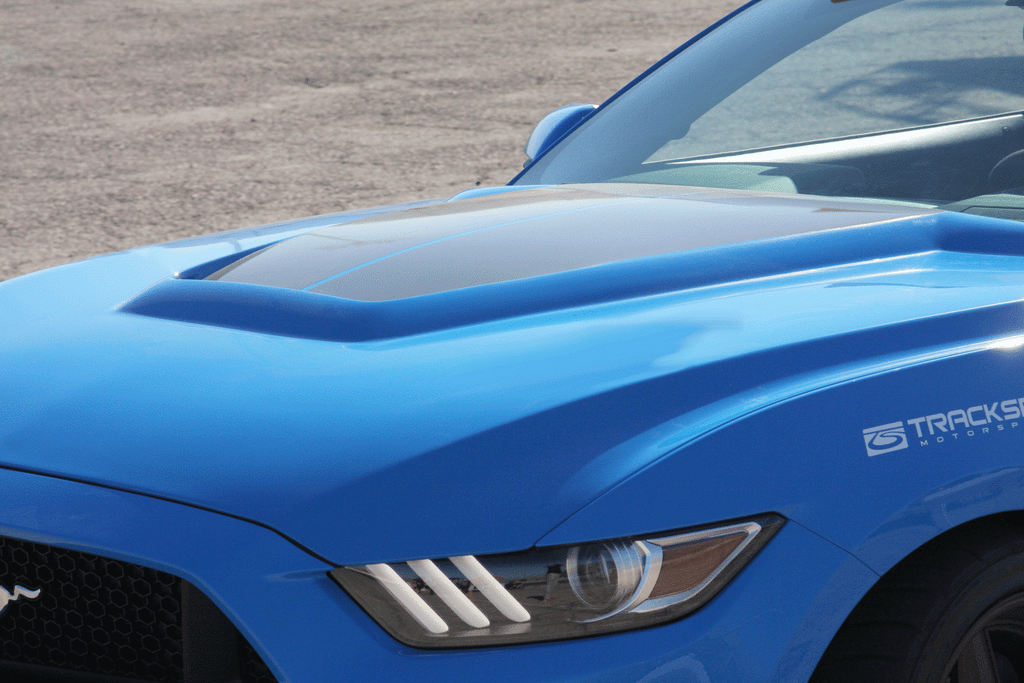 2015 - 2017 Mustang Fiberglass GT350 Style Hood (Primer)