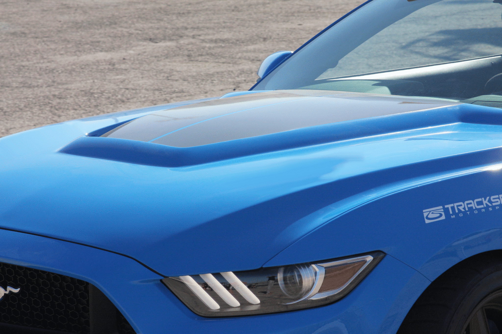 2015 - 2017 Mustang Fiberglass GT350 Style Hood (Primer)