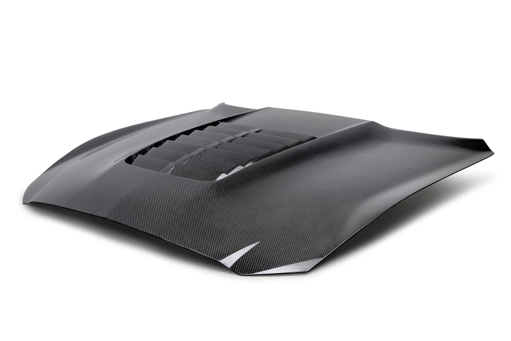 2015 - 2020 MUSTANG SHELBY GT350 TYPE-GT5 DOUBLE-SIDED CARBON FIBER HOOD