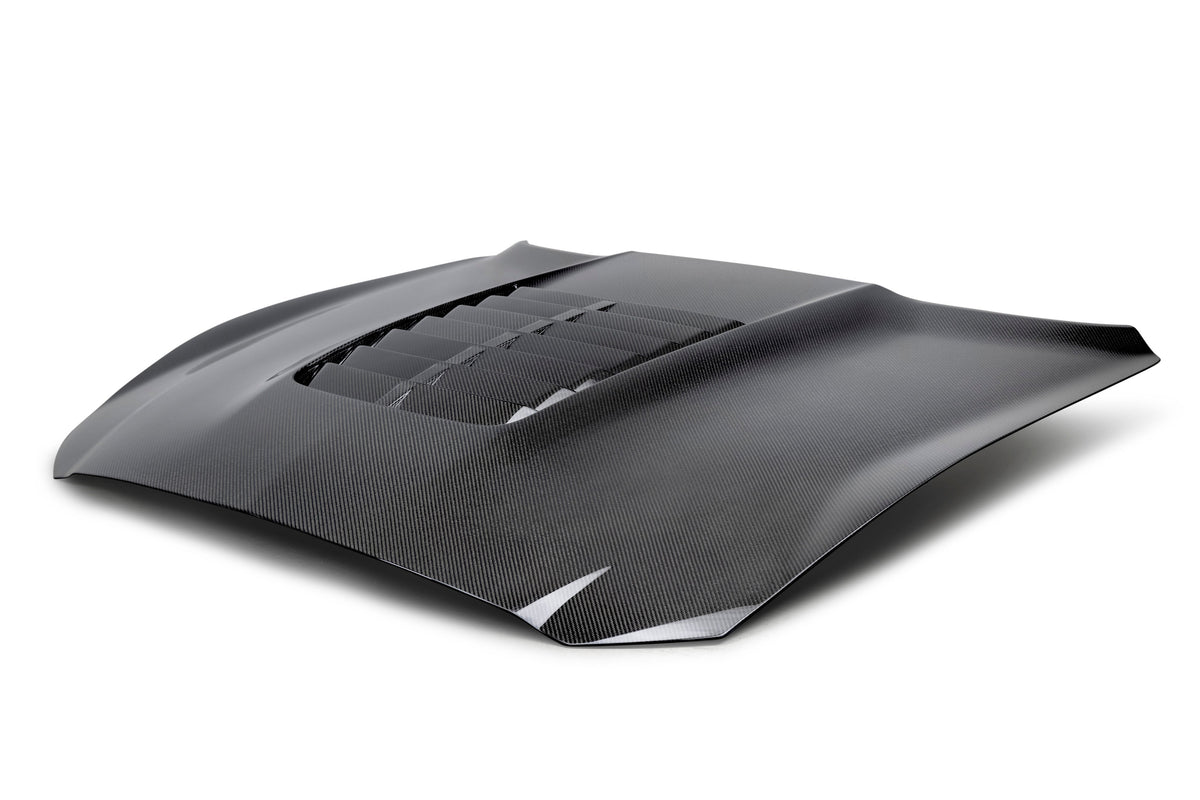 2015 - 2020 MUSTANG SHELBY GT350 TYPE-GT5 DOUBLE-SIDED CARBON FIBER HOOD