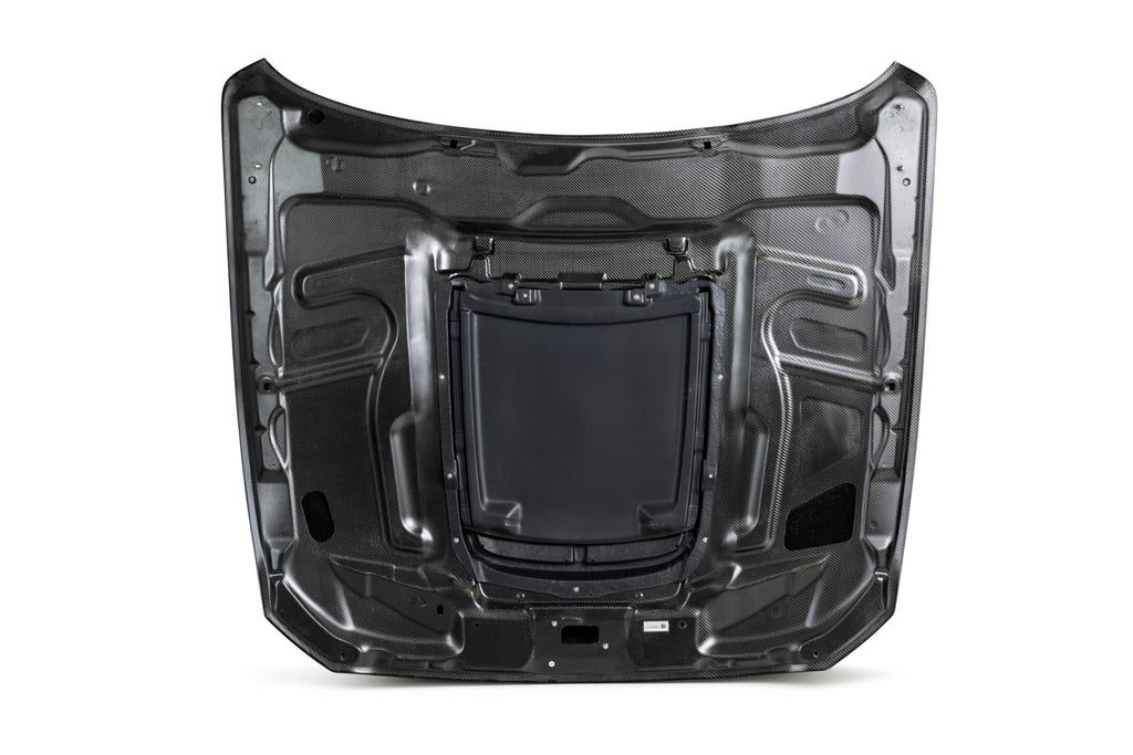 2015 - 2020 MUSTANG SHELBY GT350 TYPE-GT5 DOUBLE-SIDED CARBON FIBER HOOD