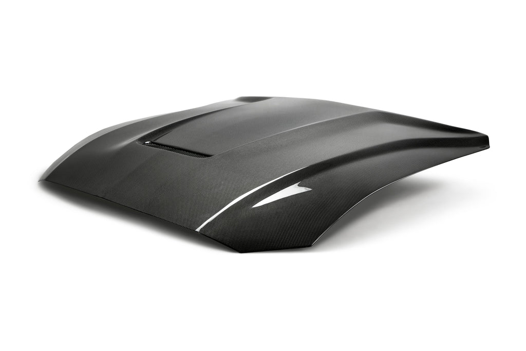 2018-2023 FORD MUSTANG TYPE-GR DOUBLE SIDED CARBON FIBER HOOD