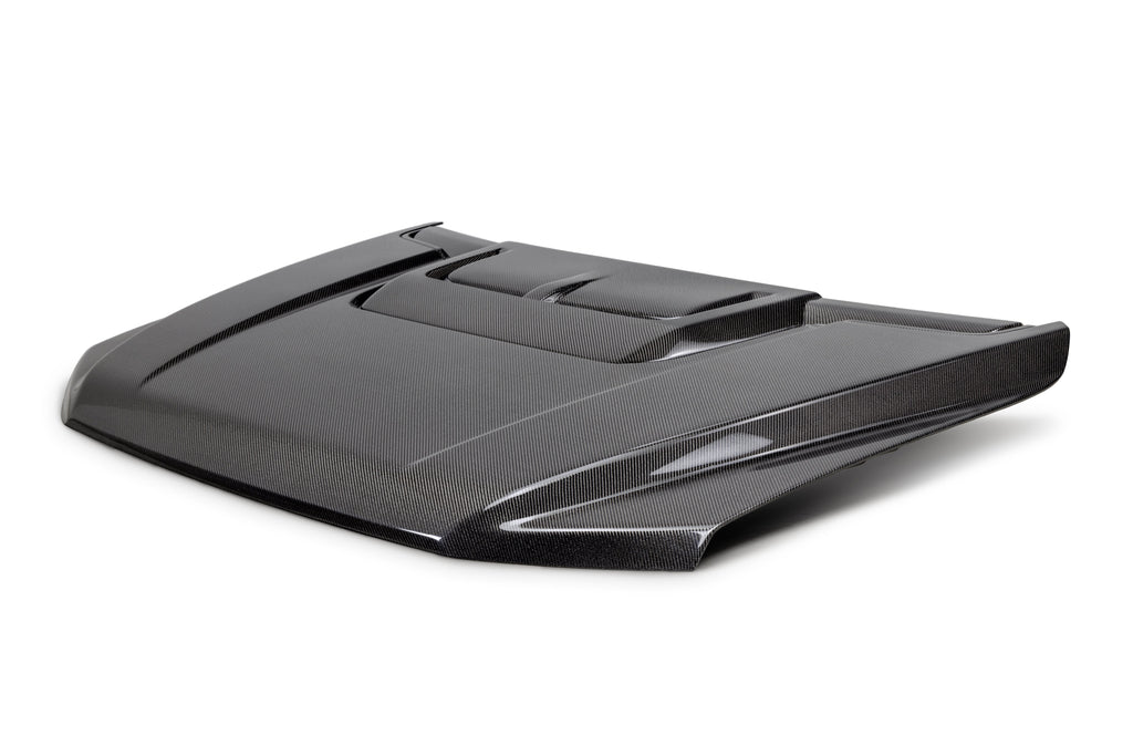 2021 - 2023 FORD F-150 RAPTOR TYPE-OE CARBON FIBER HOOD