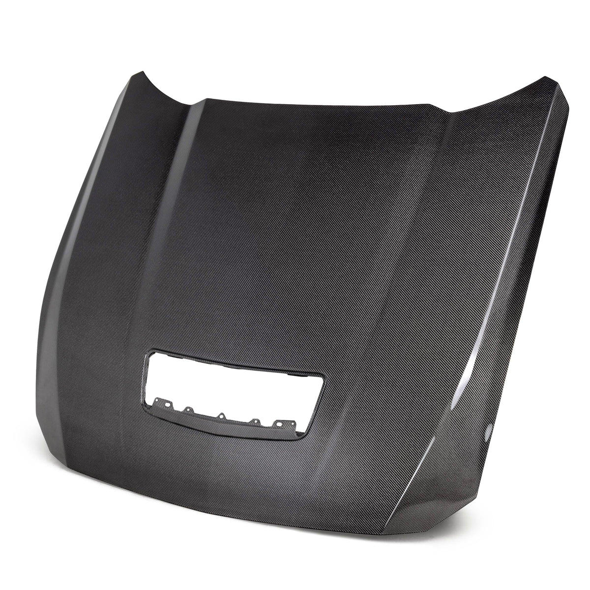 2024 FORD MUSTANG TYPE-OE DOUBLE-SIDED CARBON FIBER HOOD