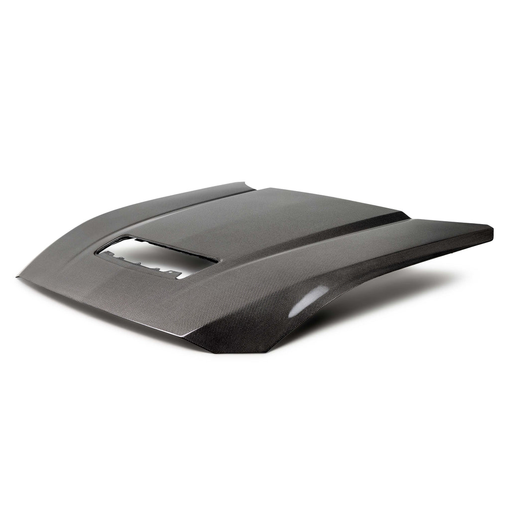 2024 FORD MUSTANG TYPE-OE DOUBLE-SIDED CARBON FIBER HOOD