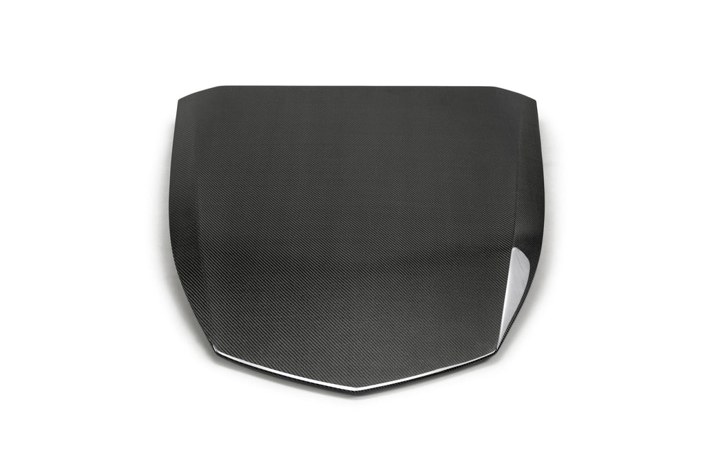 2017 - 2024 CAMARO ZL1 1LE TYPE-OE CARBON FIBER HOOD INSERT
