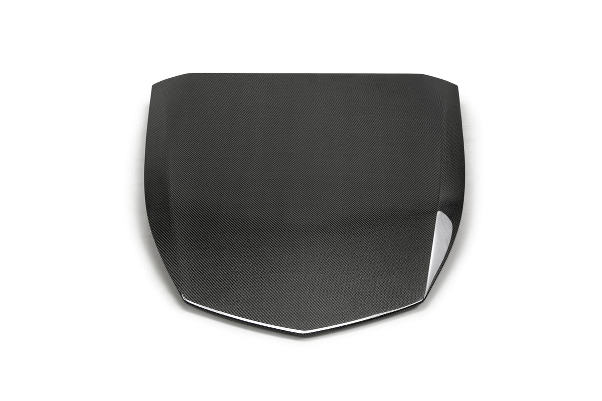 2017 - 2024 CAMARO ZL1 1LE TYPE-OE CARBON FIBER HOOD INSERT