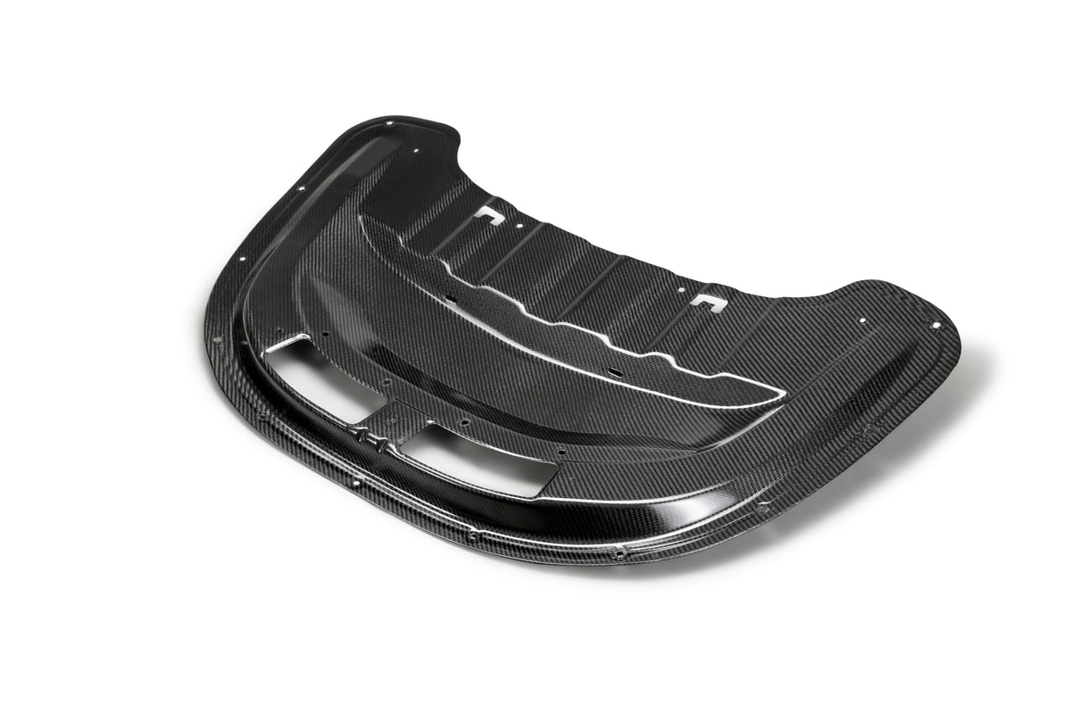 2017 - 2024 CAMARO ZL1 1LE TYPE-OE CARBON FIBER HOOD INSERT