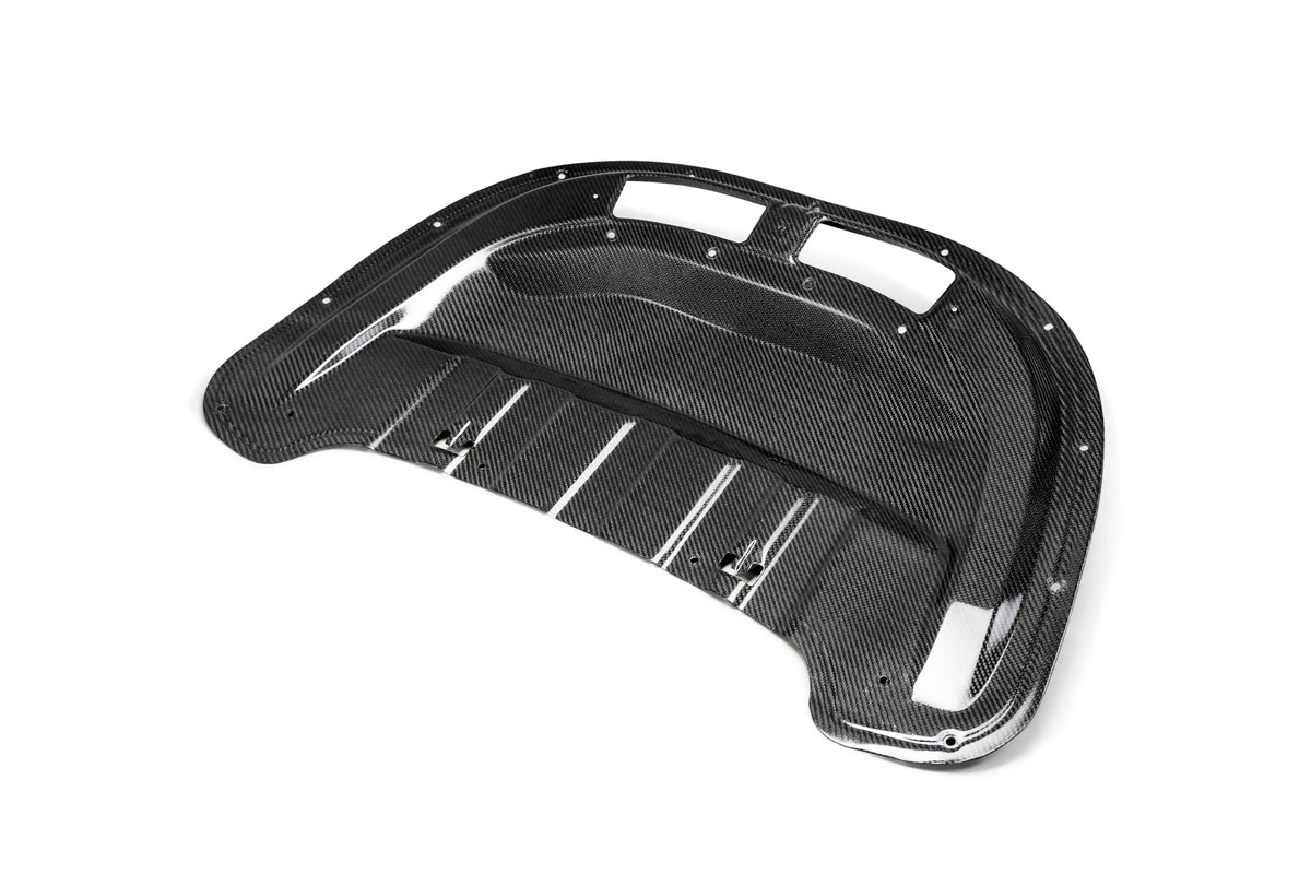 2017 - 2024 CAMARO ZL1 1LE TYPE-OE CARBON FIBER HOOD INSERT