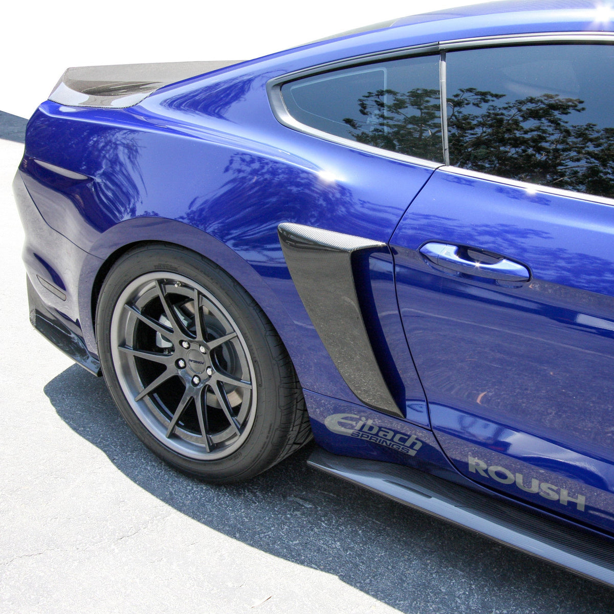 2015 - 2023 Mustang Carbon Fiber Side Scoops (Pair)