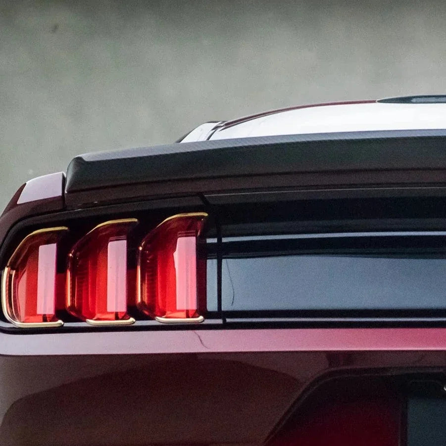 Carbon Fiber GT Ducktail Low Profile Ford Mustang 2015-2017