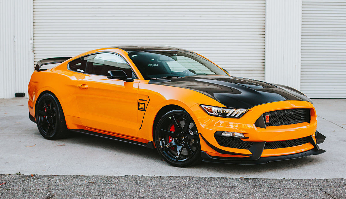 2015 - 2020 MUSTANG SHELBY GT350 TYPE-GT5 DOUBLE-SIDED CARBON FIBER HOOD