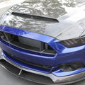 2015 - 2017 MUSTANG DOUBLE-SIDED CARBON FIBER "SUPER SNAKE" STYLE HOOD