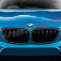 BMW 2 SERIES CARBON FIBRE KIDNEY GRILLES